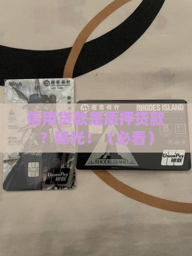 信用贷款是质押贷款嘛