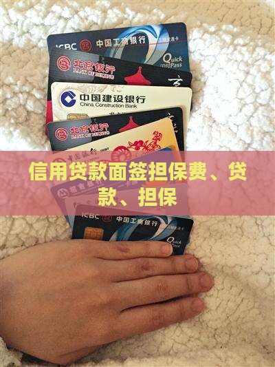 信用贷款面签担保费