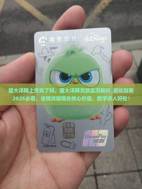 屈大洋网上贷款了吗