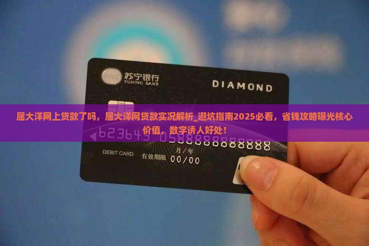 屈大洋网上贷款了吗