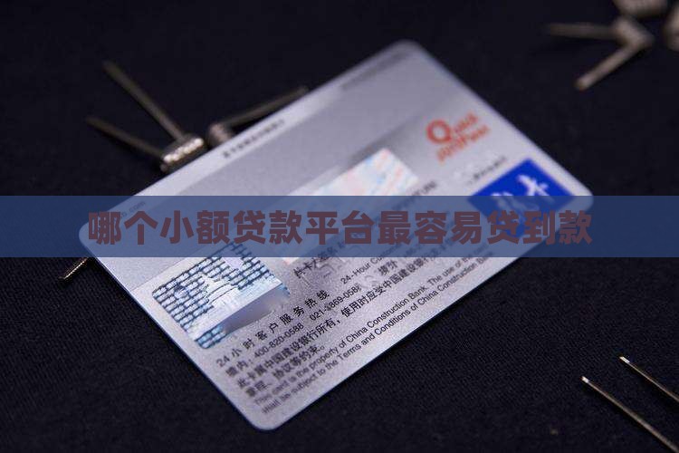 哪个小额贷款平台最容易贷到款