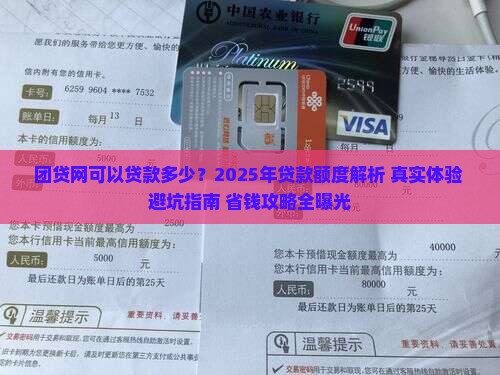 团贷网可以贷款多少