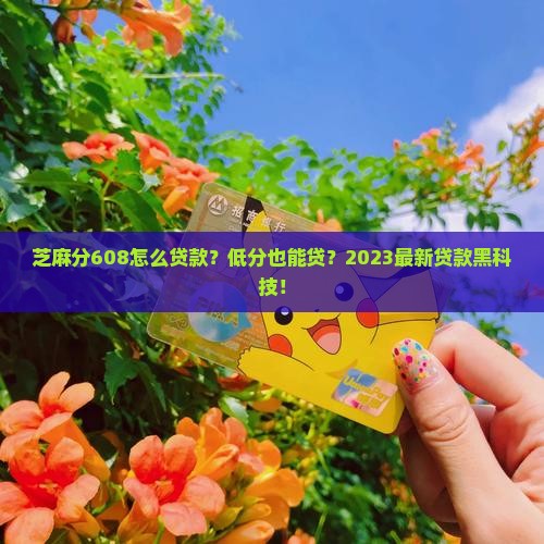 芝麻分608怎么贷款