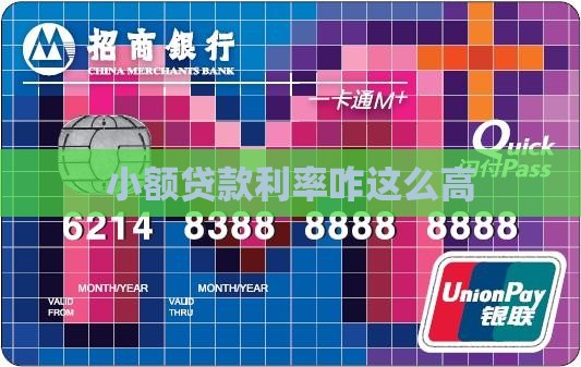 小额贷款利率咋这么高