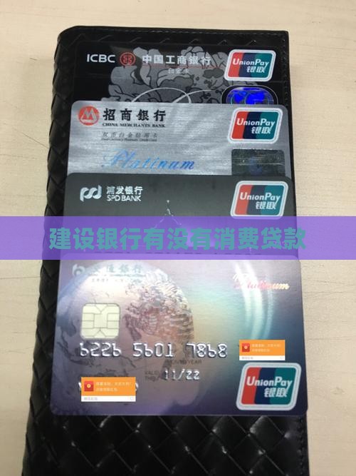 建设银行有没有消费贷款