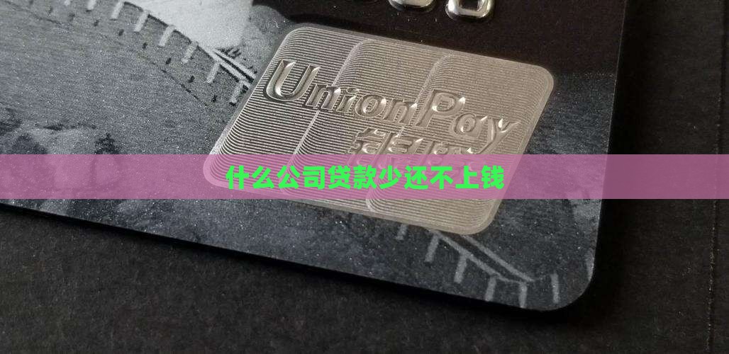 什么公司贷款少还不上钱