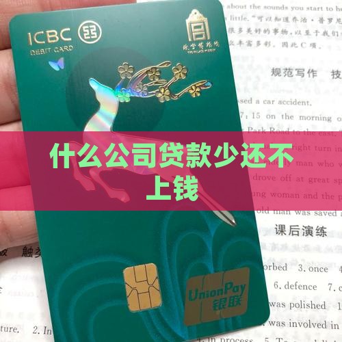 什么公司贷款少还不上钱