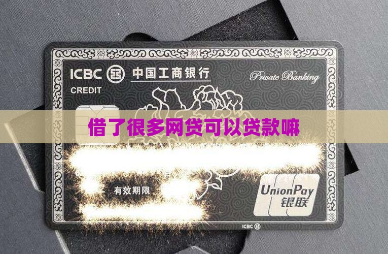 借了很多网贷可以贷款嘛