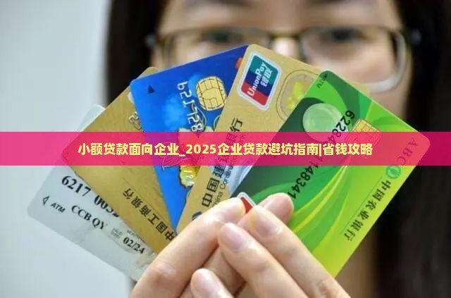 小额贷款面向企业