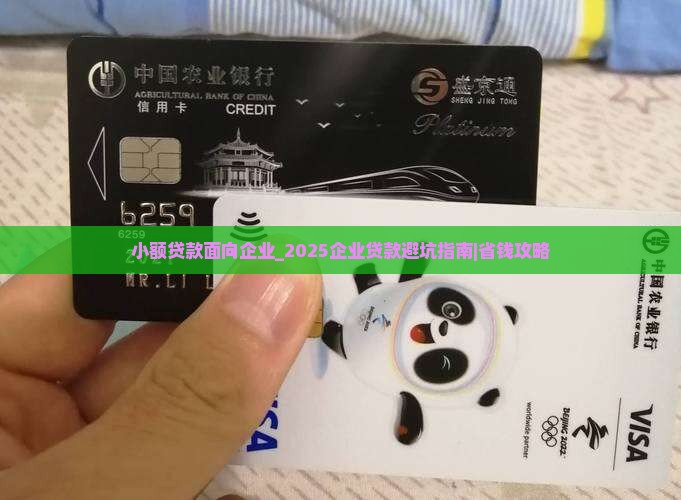 小额贷款面向企业