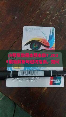 小额贷款是本额本息