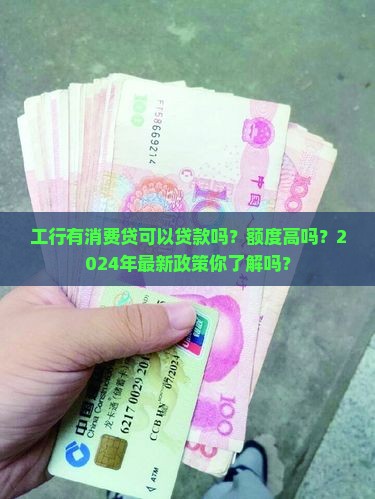 工行有消费贷可以贷款吗