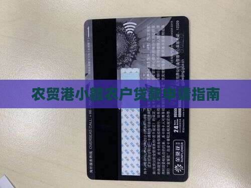 农贸港小额贷款怎么贷
