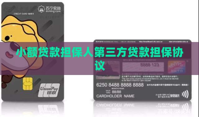 小额贷款担保人第三方