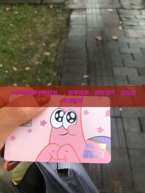 19岁能借的平台贷款