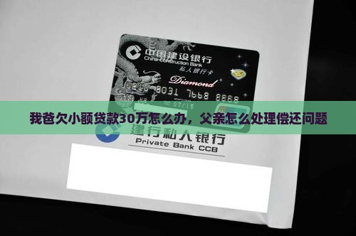 我爸欠小额贷款30万