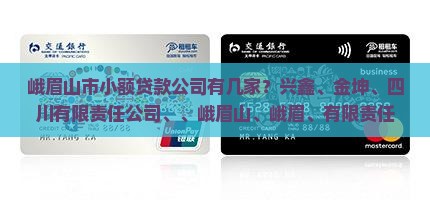 峨眉山市小额贷款有几家