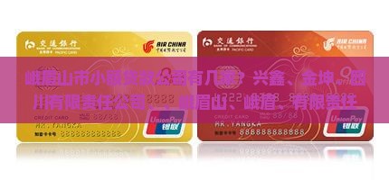 峨眉山市小额贷款有几家