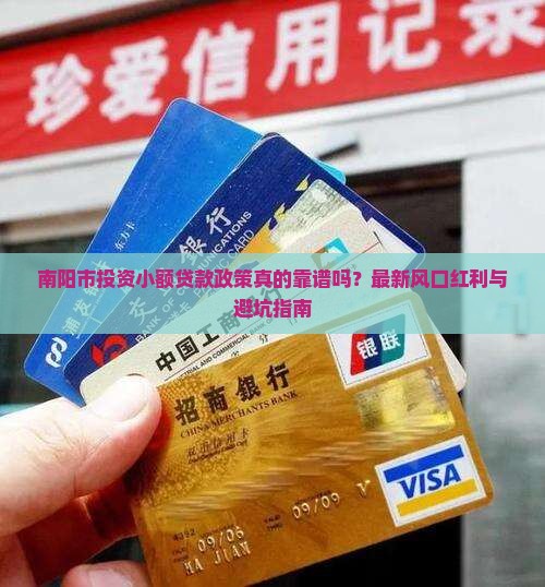 南阳市投资小额贷款政策