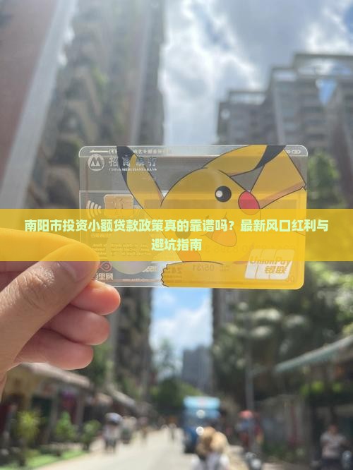 南阳市投资小额贷款政策