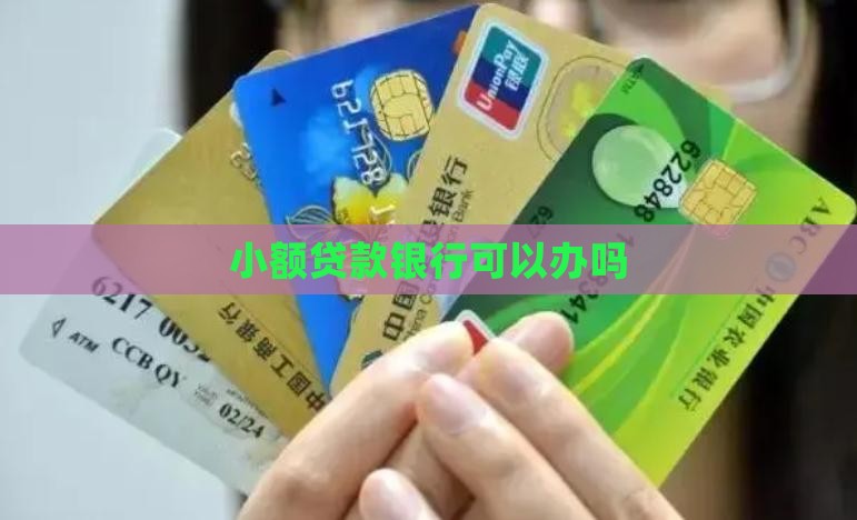小额贷款银行可以办吗