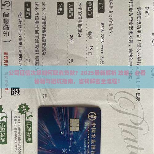 公司征信次级如何取消贷款