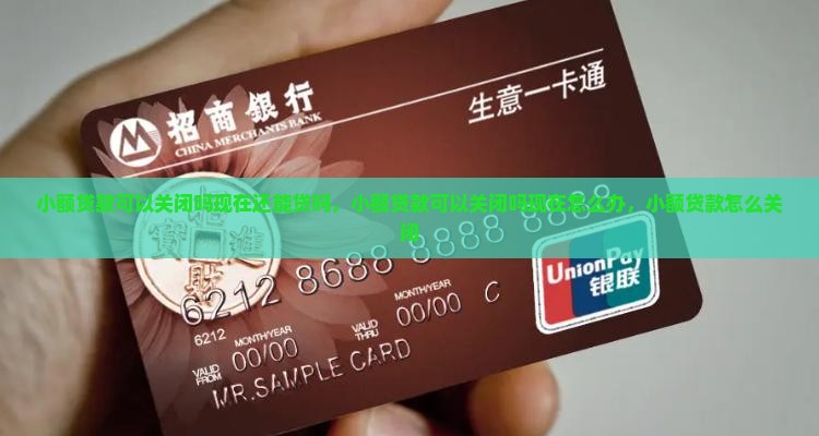 小额贷款可以关闭吗现在