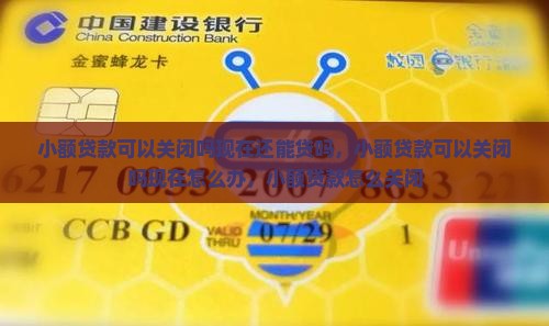 小额贷款可以关闭吗现在