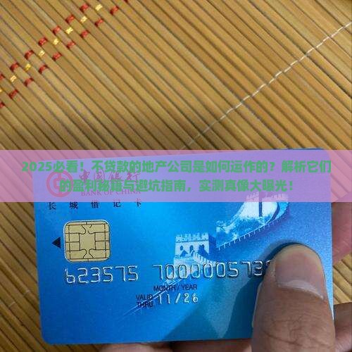 不贷款的地产公司