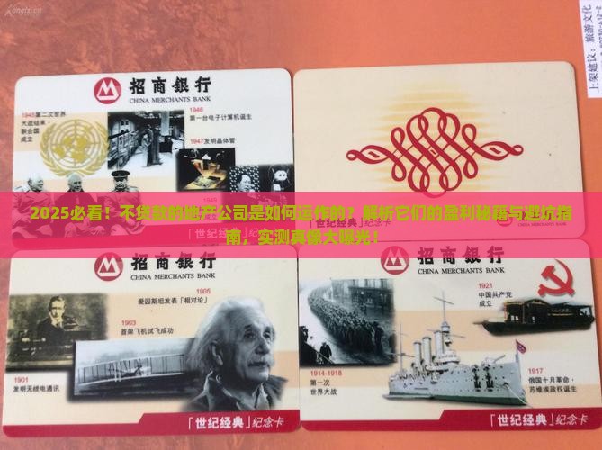 不贷款的地产公司