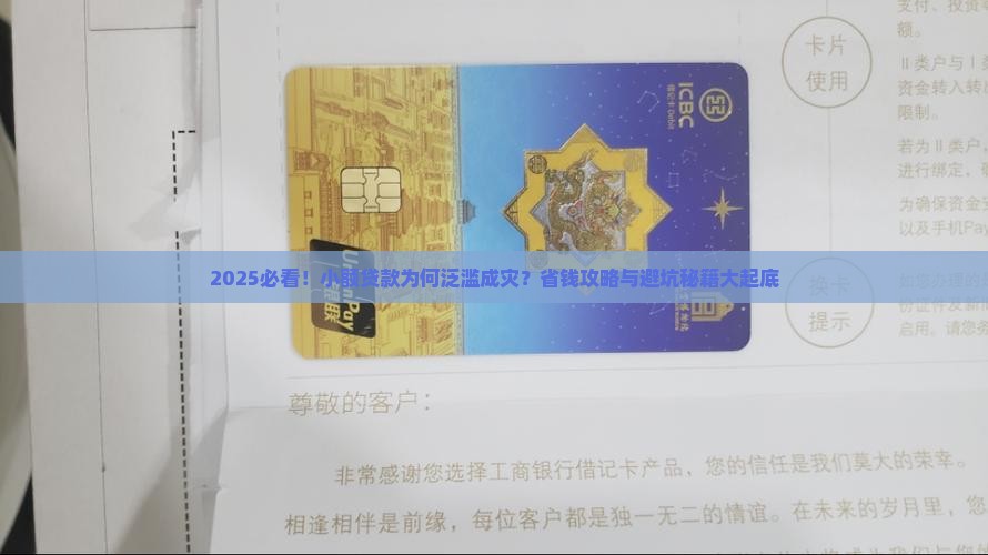 为什么到处是小额贷款