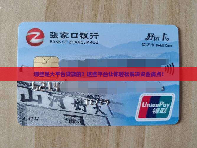 哪些是大平台贷款的