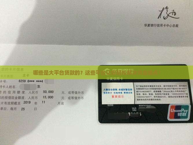 哪些是大平台贷款的