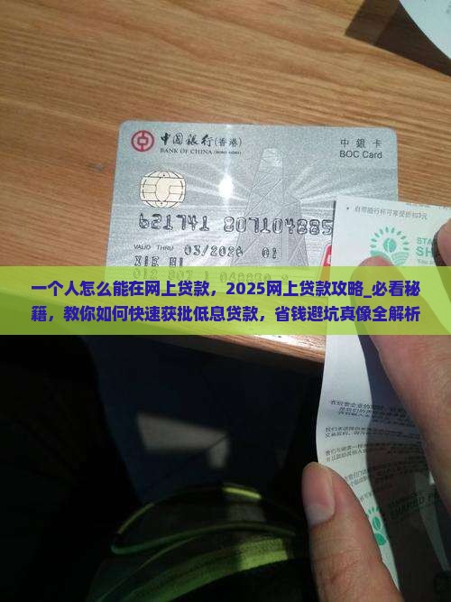 一个人怎么能在网上贷款