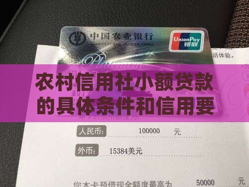 怎么到信用社小额贷款