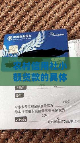 怎么到信用社小额贷款