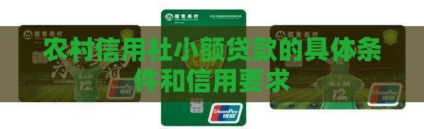 怎么到信用社小额贷款