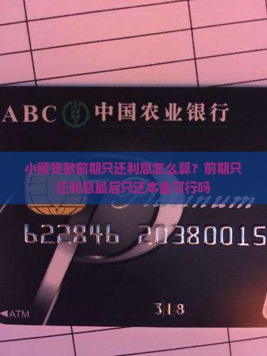 小额贷款前期只还利息怎么算？前期只还利息最后只还本金可行吗