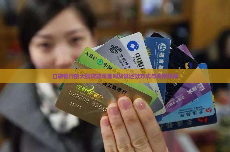 口袋银行的大额贷款可靠吗及其还款方式与费用详解