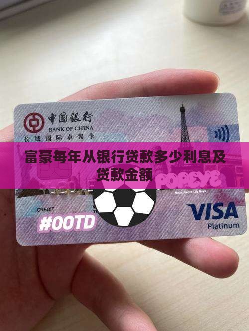 富豪每年从银行贷款多少利息及贷款金额