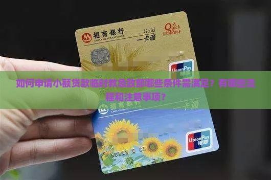 如何申请小额贷款临时救急政部哪些条件需满足？有哪些流程和注意事项？