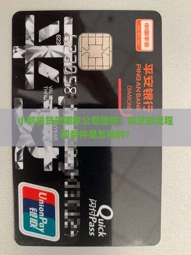 小鹅袋贷款哪家公司提供？其贷款流程和条件是怎样的？