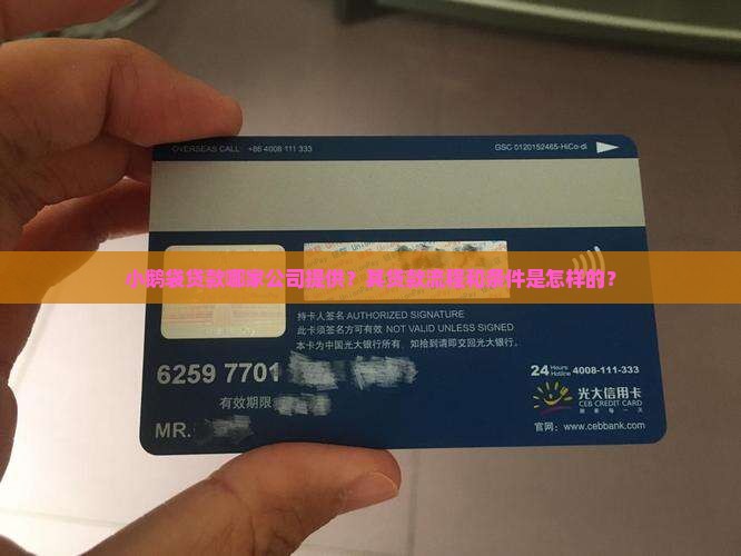 小鹅袋贷款哪家公司提供？其贷款流程和条件是怎样的？