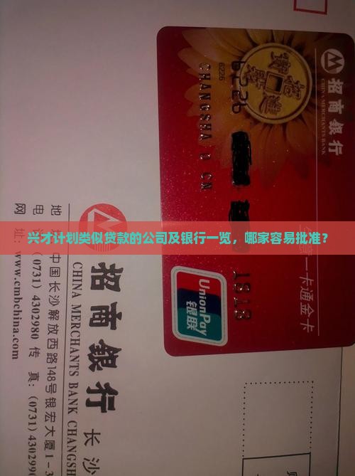 兴才计划类似贷款的公司及银行一览，哪家容易批准？