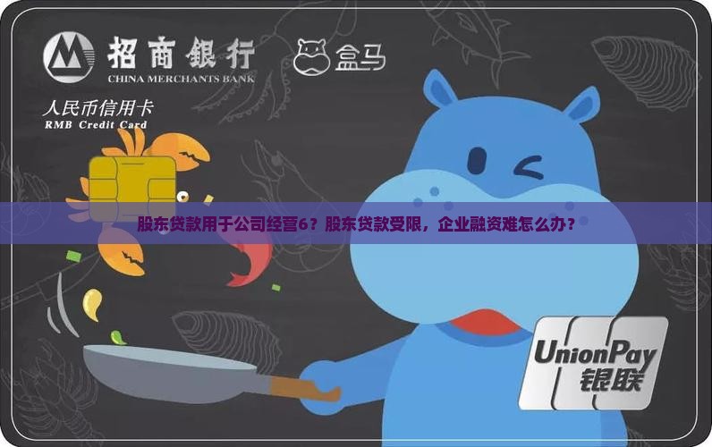 股东贷款用于公司经营6？股东贷款受限，企业融资难怎么办？