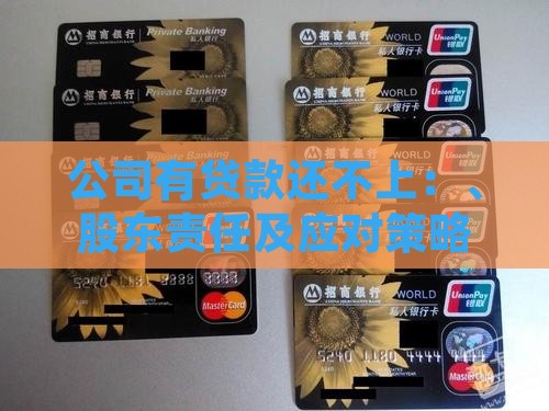 公司有贷款还不上：、股东责任及应对策略