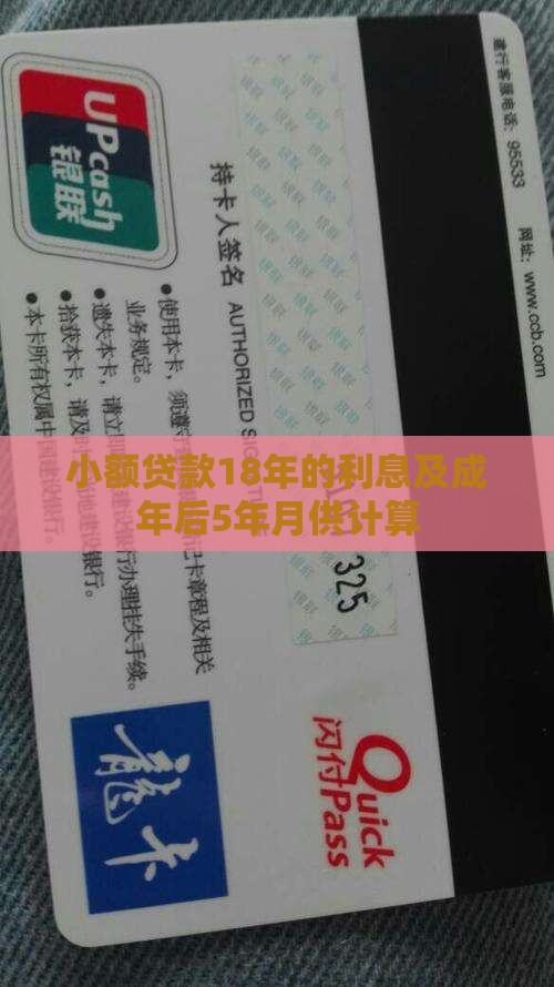 小额贷款18年的利息及成年后5年月供计算