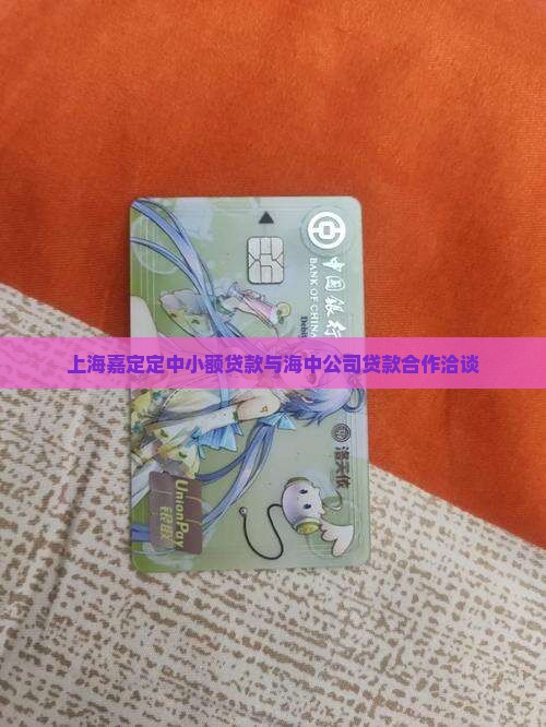 上海嘉定定中小额贷款与海中公司贷款合作洽谈