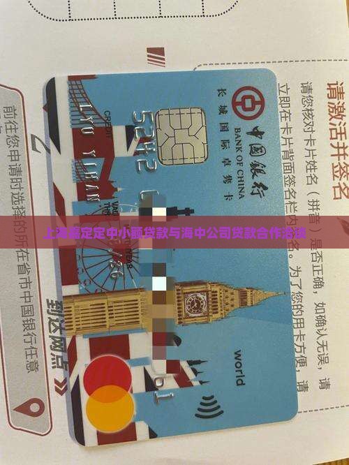 上海嘉定定中小额贷款与海中公司贷款合作洽谈