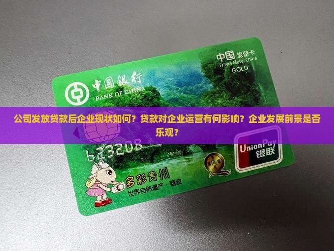 公司发放贷款后企业现状如何？贷款对企业运营有何影响？企业发展前景是否乐观？